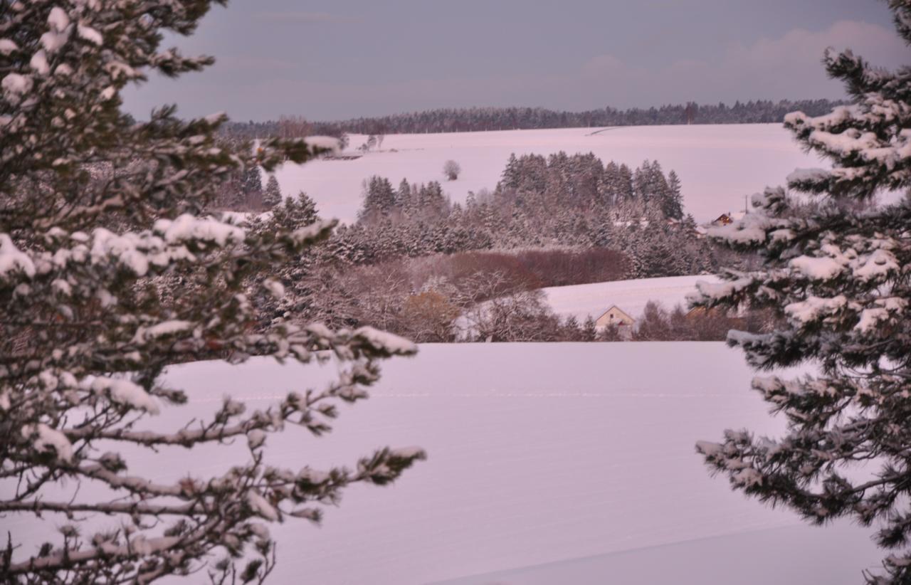 Landhotel Krone Алпирсбах Екстериор снимка