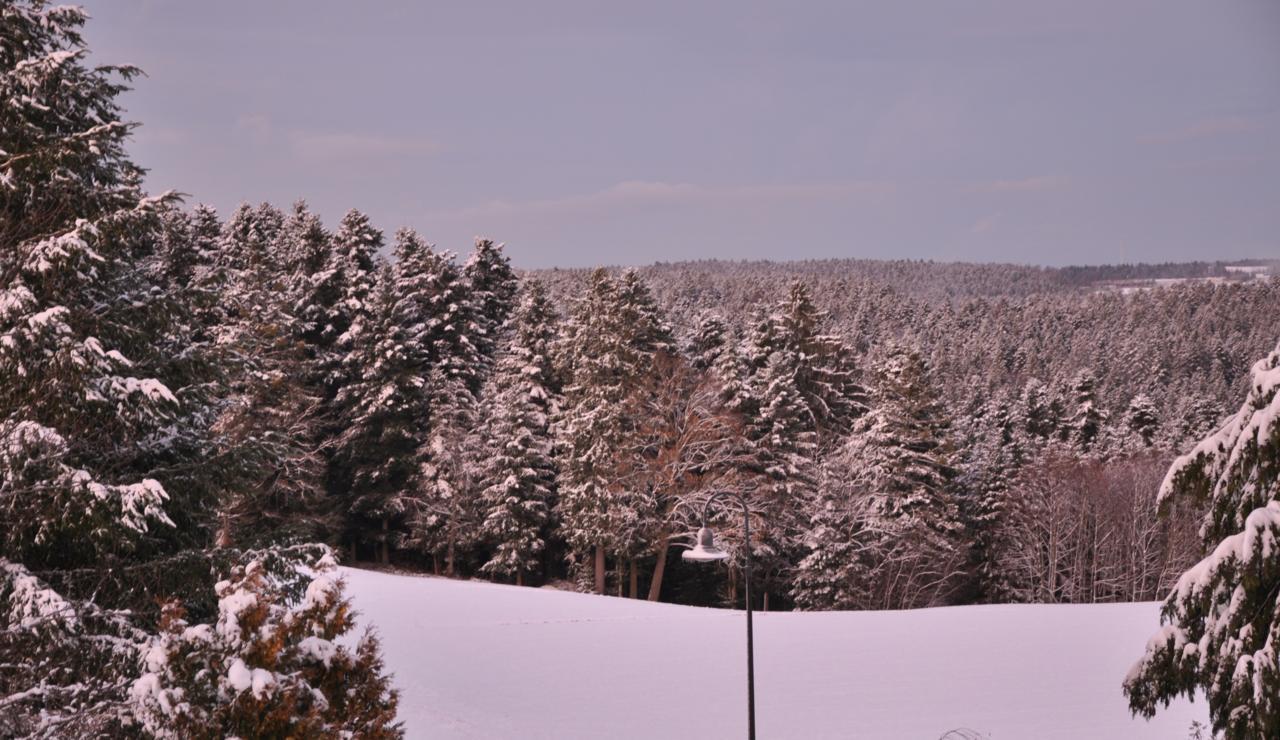 Landhotel Krone Алпирсбах Екстериор снимка